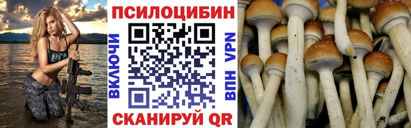 Псилоцибиновые грибы Psilocybine cubensis купить закладку Макушино
